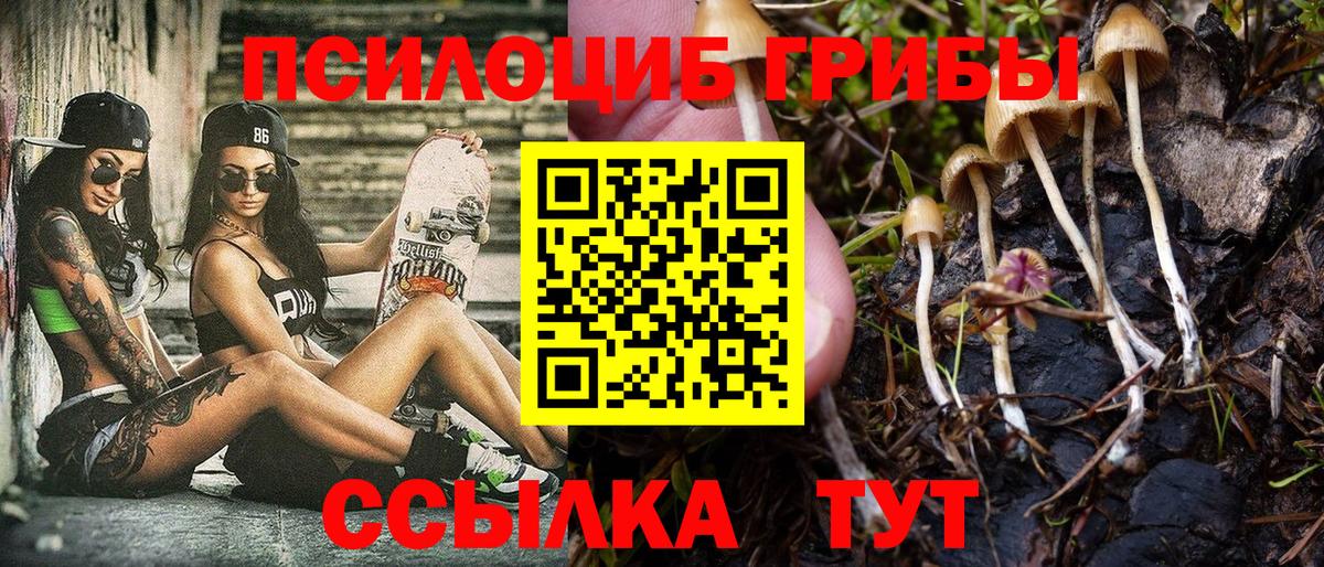 Псилоцибиновые грибы Cubensis Амурск